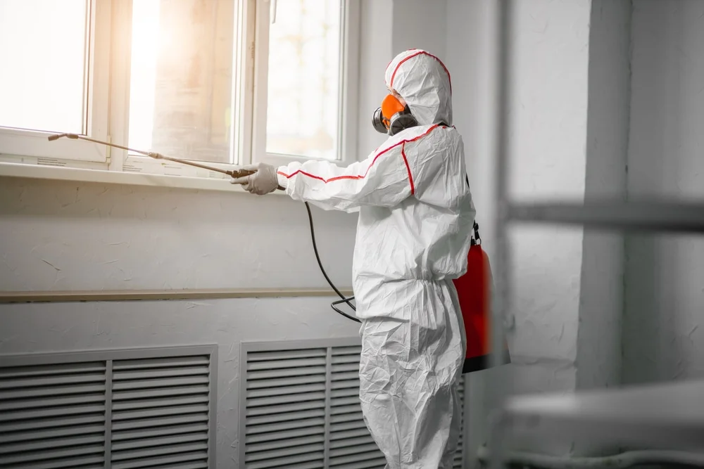 Professional mold remediation services in Ault, CO